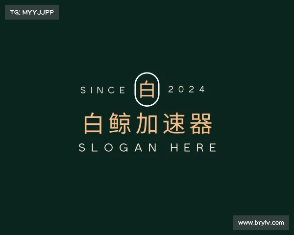 关于白鲸加速器